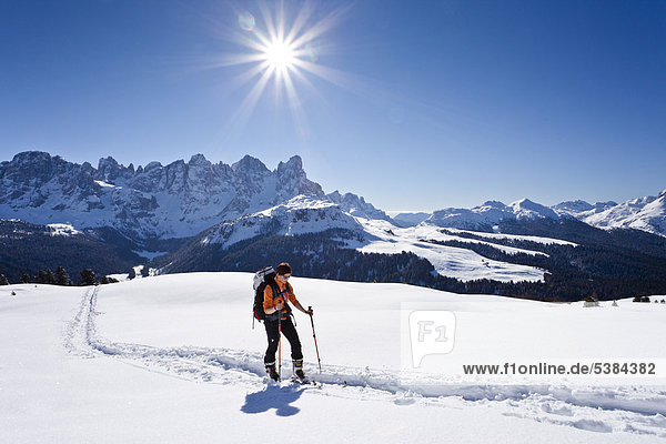 Touring skier climbing to the top of Cima Bocche mountain  above Passo Valles  Dolomites  Pala group and Passo Rolle at the back  province of Trentino  Italy  Europe