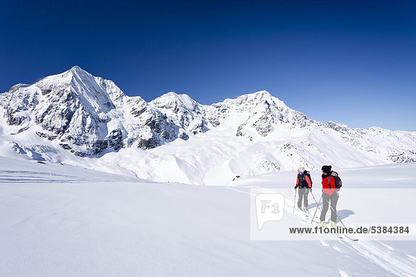 Skitourengeher beim Aufstieg zur Hinteren Schöntaufspitze  Sulden im Winter  hinten die Königsspitze  der Ortler und Zebru  Südtirol  Italien  Europa