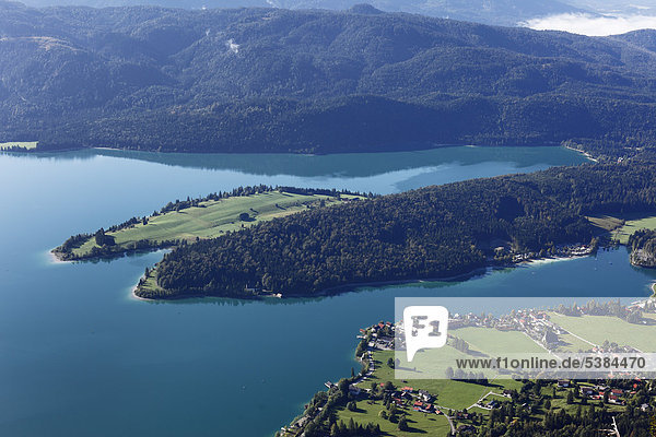 Halbinsel Zwergern  See und Ort Walchensee  Blick vom Herzogstand  Oberbayern  Bayern  Deutschland  Europa  ÖffentlicherGrund
