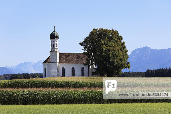Kirche St. Andrä in Etting  Gemeinde Polling  Pfaffenwinkel  Oberbayern  Bayern  Deutschland  Europa  ÖffentlicherGrund