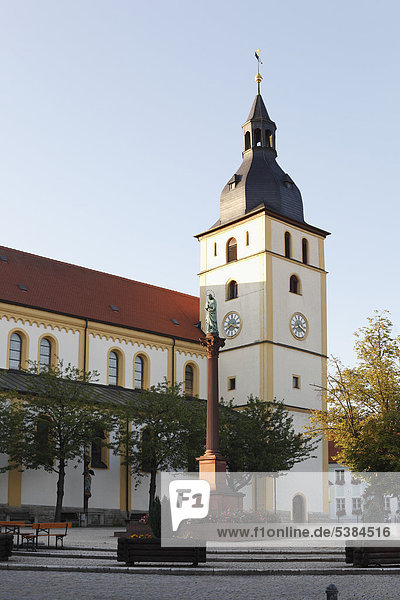 Pfarrkirche St. Jakob und Mariensäule  Mitterteich  Oberpfalz  Bayern  Deutschland  Europa  ÖffentlicherGrund