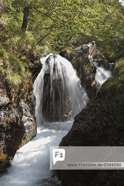Sagenbach  Wasserfall bei der Schwaigeralm  Kreuth  Tegernseer Tal  Oberbayern  Bayern  Deutschland  Europa  ÖffentlicherGrund