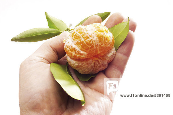 Geschälte Mandarine (Citrus reticulata) in der Hand