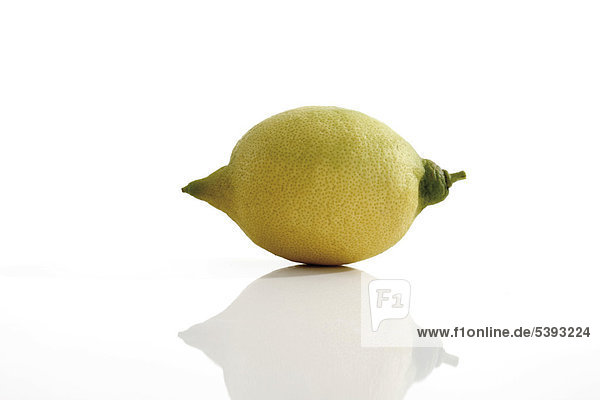 Lemon (Citrus _ limon)