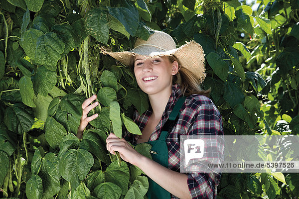 Young woman with straw hat harvesting beans