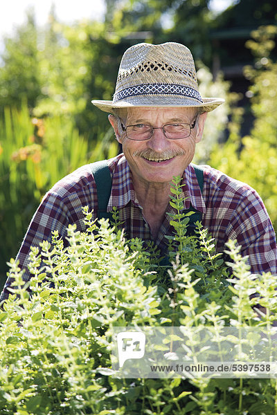 Gardener in herbal patch