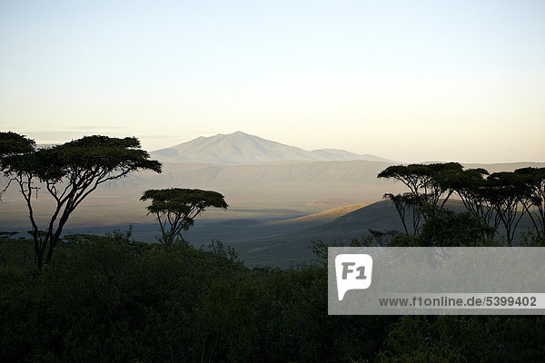 Sonnenaufgang  Ngorongoro Krater  Vulkan  Nordrand  Ngorongoro Conservation Area  Tansania  Afrika