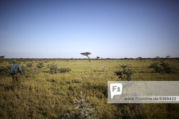 Ranger in der Serengeti  Tansania  Afrika