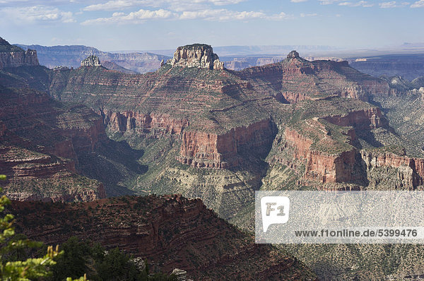 North Rim  Grand Canyon Nationalpark  Arizona  USA