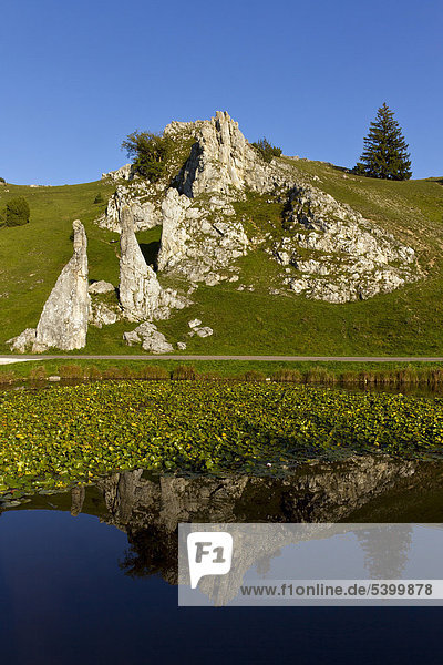 Eselsburger Valley near Herbrechtingen Swabian Alb Baden-Wuerttemberg southern Germany Germany Europe