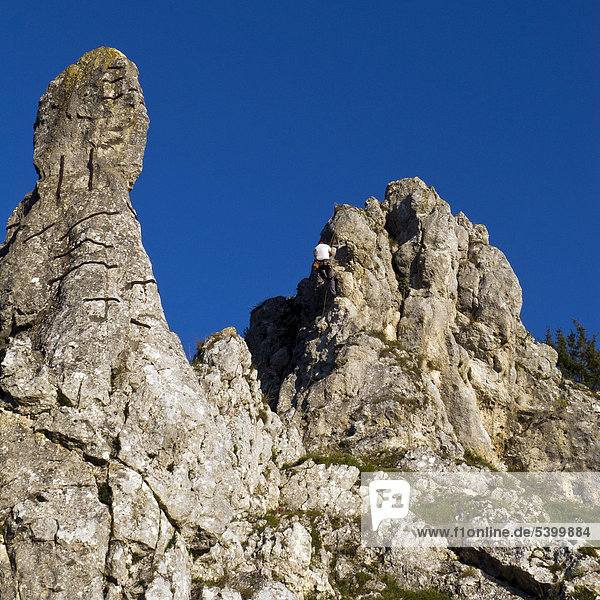 Rock climbing in Eselsburger Valley near Herbrechtingen Swabian Alb Baden-Wuerttemberg southern Germany Germany Europe