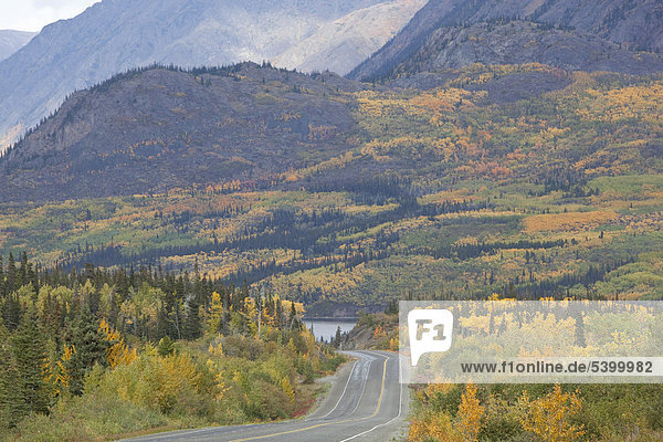Indian Summer  Herbst  White Pass  Coastal Range  South Klondike Highway  verbindet Skagway in Alaska mit British Columbia in Kanada