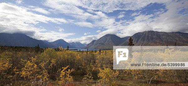Indian Summer  Herbstfarben  Kathleen Lake  St. Elias Mountains  Kluane National Park und Reserve  Yukon Territory  Kanada