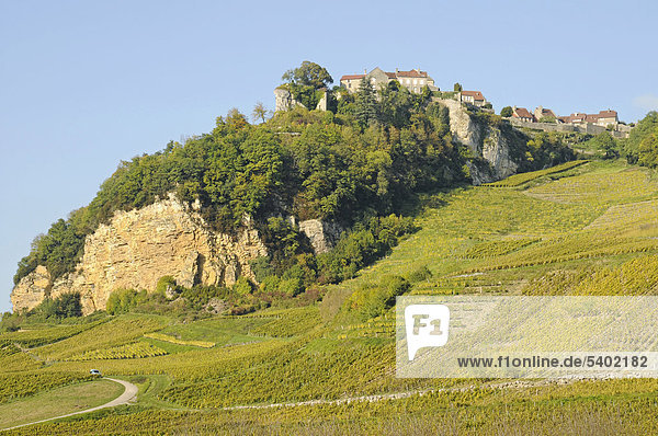 Weinberge  Weinanbaugebiet  Dorf  Gemeinde  Chateau-Chalon  Departement Jura  Franche-Comte  Frankreich  Europa  ÖffentlicherGrund