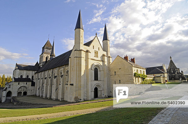 Abteikirche  Abbaye de Fontevraud  Abtei  Kloster  Kirche  Museum  Fontevraud-l'Abbaye  Departement Maine-et-Loire  Pays de la Loire  Frankreich  Europa