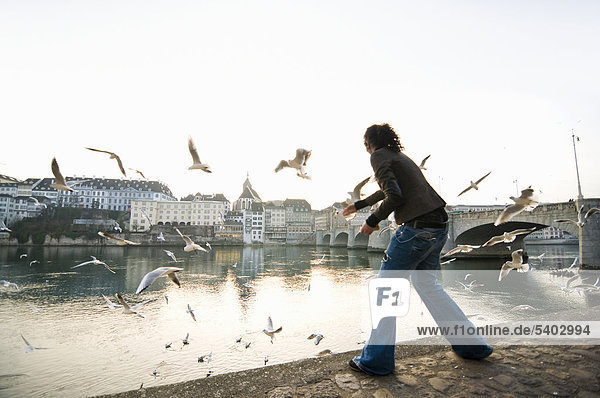 Young woman feeding gulls on the Rhine river  behind the old town  Basel  Switzerland  Europe