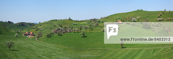 Reisen  Natur  Landwirtschaft  Europa  Schweiz  Zug Menzingen  Bauernhaus  Ackerland  ländlich  ruhig  Scenic  Landschaft  blauer Himmel  grün  Frühling  Wiese  Feld  niemand  Baum  Panorama