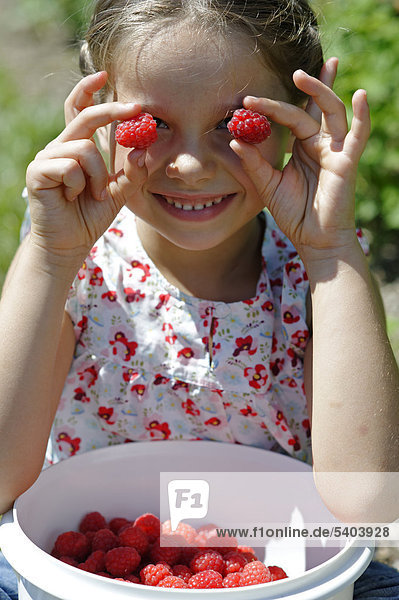 Girl holding raspberries in front of her eyes  with a bowl of freshly picked raspberries  Bavaria  Germany  Europe