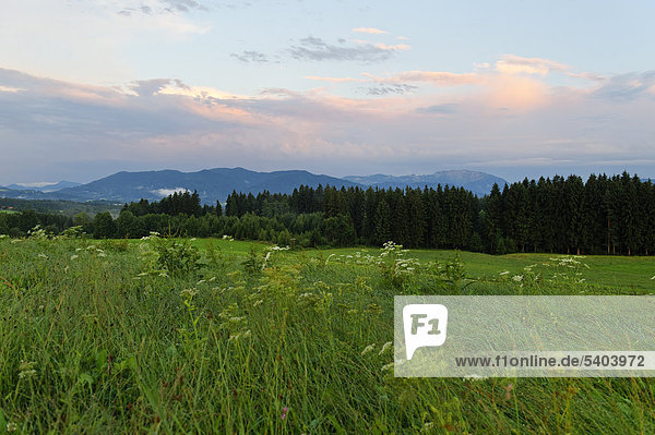 Abendstimmung nach einem Sommergewitter  von Promberg bei Penzberg  auf die Benediktenwand  Oberbayern  Bayern  Deutschland  Europa