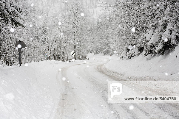 Snow-covered road snowfall between Eisenerz and Hieflau Upper Styria Styria Austria Europe