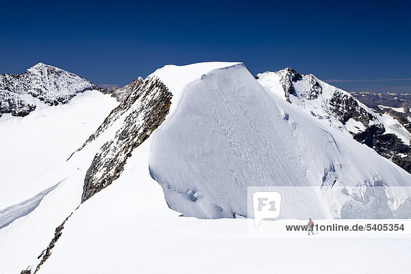 Climbers on the summit ridge  climbing Mt Piz Palu  summit of Mt Piz Bernina with the Bianco ridge in the back  Grisons  Switzerland  Europe