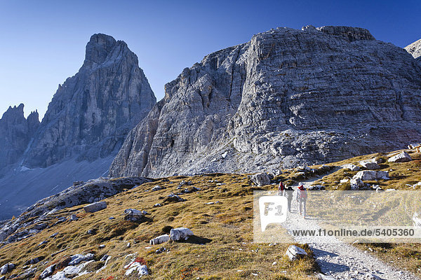 Hikers ascending Mt Paterno  above the Comici Refuge  Mt Croda dei Toni in the back  Sesto  Sexten  Alta Pusteria Valley  Dolomites  South Tyrol  Italy  Europe