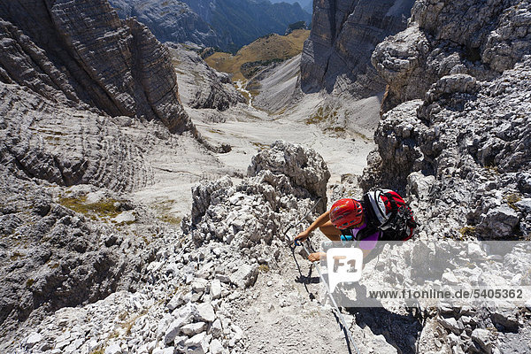 Hikers climbing Mt Paterno above the Comoscio Pass  Sesto  Sexten  Alta Pusteria Valley  Dolomites  South Tyrol  Italy  Europe
