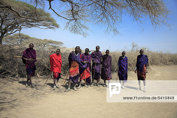 Afrika  Afrikanisch  Ostafrika  Afrika südlich der Sahara  Tanzania  Tansania  Natur  Safari  Reisen  Reiseziele  Wildtiere  Orte der Welt  Dritte Welt  Mann  Männer  Massai Menschen  Dorf
