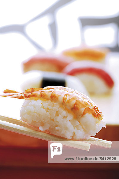 Chopsticks holding Nigiri sushi and prawn