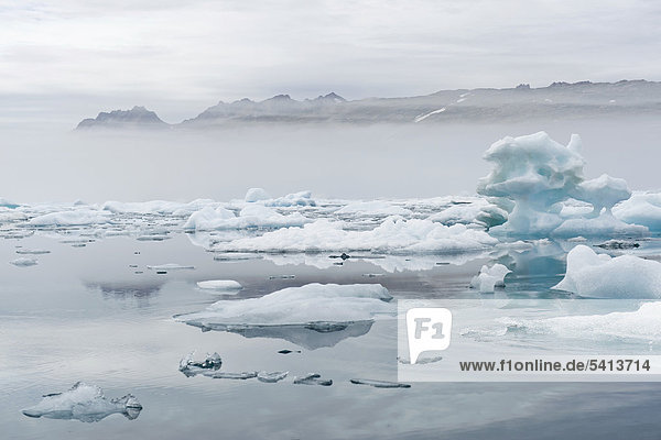Eis und Nebel im Johan Petersen Fjord  Ostgrönland  Grönland
