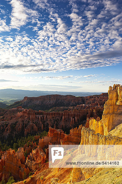 Morgenstimmung  Inspiration Point  Bryce Canyon Nationalpark  Utah  USA