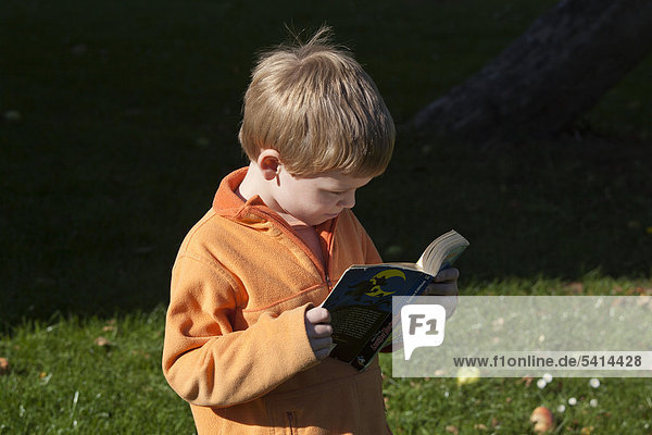 Kleiner Junge liest einen Comic