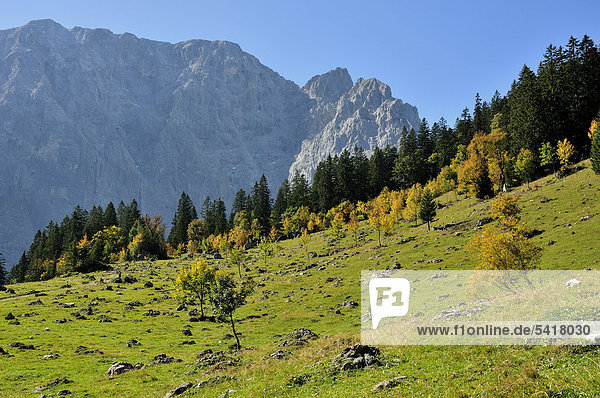 Landschaft im Karwendel-Gebirge nahe der Ortschaft Hinterriß  bei Vomp  Tirol  Österreich  Europa