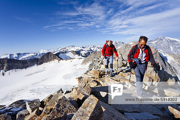 Bergsteiger beim Aufstieg zum Hohen Angulus  Ortlergebiet  hinten der Ortler  König  Zebru und Vertainspitz  Südtirol  Italien  Europa