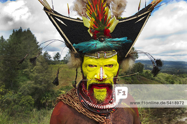 Timan Thumbu  a Huli Wigman  with headdress containing Superb Bird of Paradise  Papun Lorikeet  Lesser Bird of Paradise  Ribbon-tailed Astrapia  Lawes Parotia and Stephanie's Astrapia feathers and plumes  from Tari  Southern Highlands  Papua New Guinea  Oceania