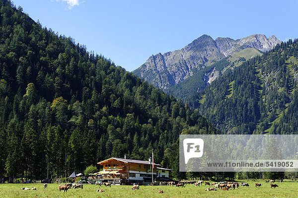 nahe Europa Tal See Karwendelgebirge Österreich Pertisau Tirol