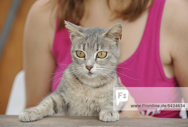Tierliebe  junge Frau hält getigerte Katze  Dolcedo  Riviera dei Fiori  Ligurien  Italien  Europa