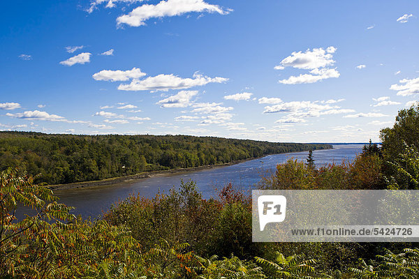 Start of the Indian Summer in Bucksport  Maine  New England  USA