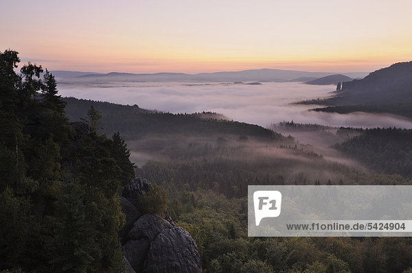 Nebel im Elbsandsteingebirge  Blick auf den Nassen Grund und Bloßstock  Sachsen  Deutschland  Europa