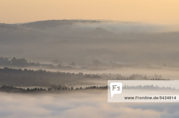 Nebel im Elbsandsteingebirge  Sachsen  Deutschland  Europa
