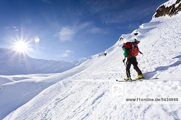 Ski tourers climbing the Staudenberg-Joechl ridge  in Ridanna above Schneeberg  Vipiteno  Staudenberg-Joechl ridge in the back  South Tyrol  Italy  Europe