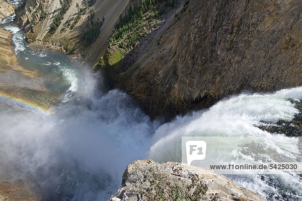 Lower Falls Wasserfälle  Yellowstone Canyon  Wyoming  USA