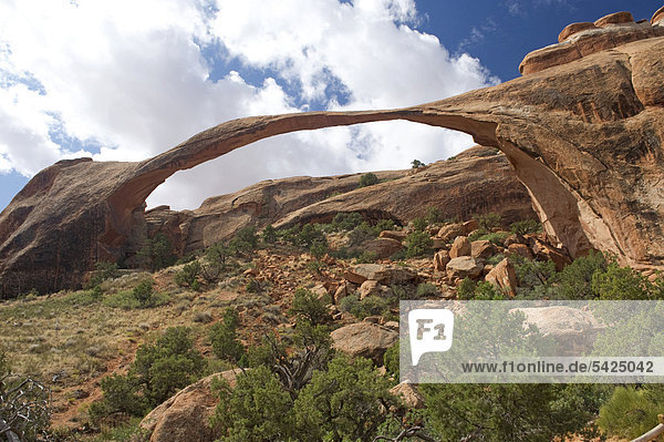 Landscape Arch Felsbogen  Arches Nationalpark  Utah  USA