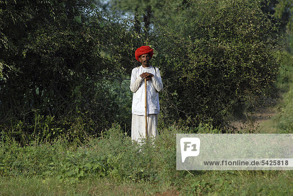 Camel herdsman with a red turban  near Mount Abu  Rajasthan  North India  India  Asia