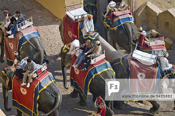 Tourists riding elephants  Amber Fort  Jaipur  Rajasthan  India  Asia