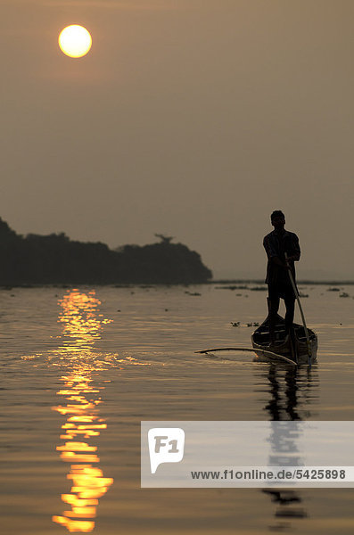Fisherman on Lake Vembanad at sunrise  Kerala  South India  India  Asia