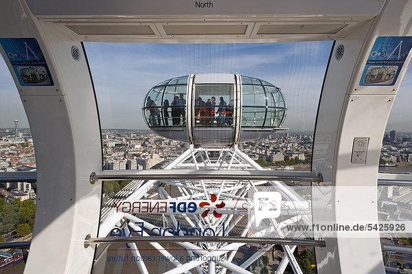 Passenger capsule of the London Eye  London  England  United Kingdom  Europe