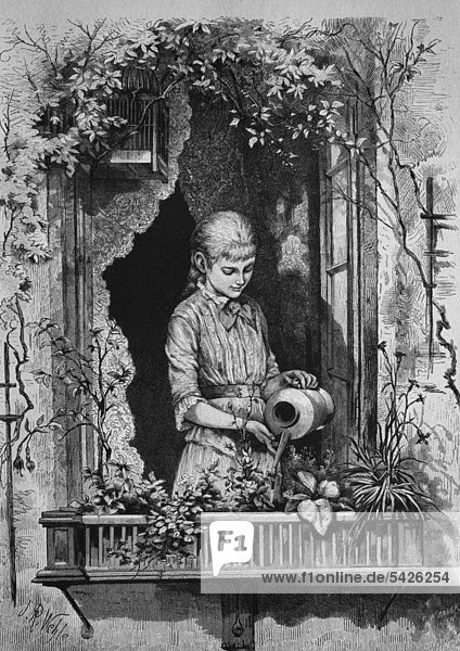 Girl watering flowers  wood engraving  1880