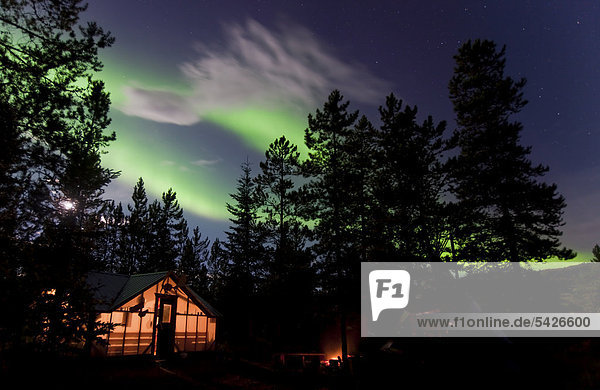 Hell erleuchtetes Zelt  Hütte mit waberndem Nordlicht  nördliches Polarlicht  Aurora Borealis  grün  in der Nähe von Whitehorse  Yukon Territorium  Kanada