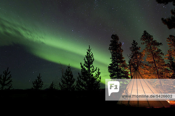 Hell erleuchtetes Tipi  Indianerzelt  Nordlicht  nördliches Polarlicht  Aurora Borealis  grün  in der Nähe von Whitehorse  Yukon Territorium  Kanada